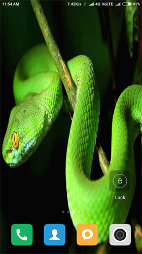 Ladda ner Snake HD - gratis live wallpaper för Android på skrivbordet.