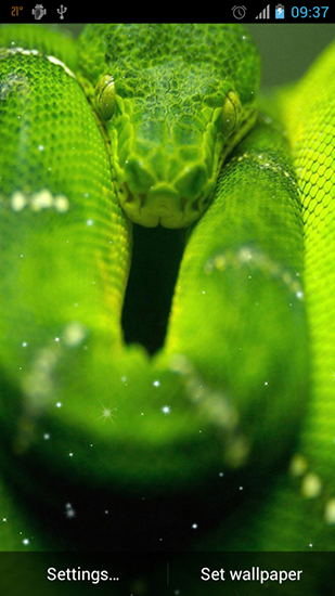 Snake - ladda ner levande bakgrundsbilder till Android 4.2 mobiler.