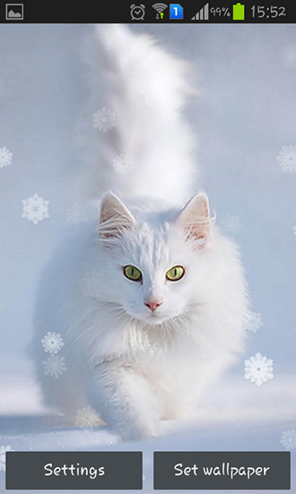 Snow cats - ladda ner levande bakgrundsbilder till Android 4.4.2 mobiler.