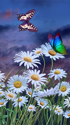 Ladda ner Summer: flowers and butterflies - gratis live wallpaper för Android på skrivbordet.