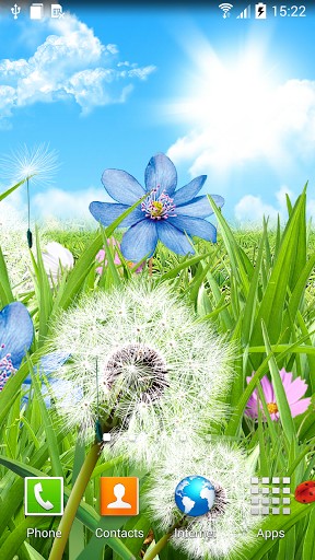 Summer flowers - ladda ner levande bakgrundsbilder till Android A.n.d.r.o.i.d. .5...0. .a.n.d. .m.o.r.e mobiler.