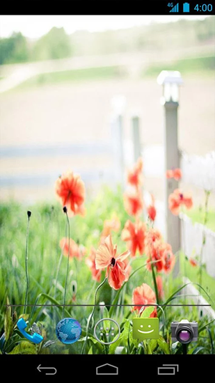 Summer flowers by Mww apps - ladda ner levande bakgrundsbilder till Android 9.3.1 mobiler.