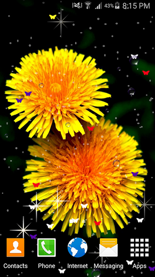 Gratis levande bakgrundsbilder Summer flowers by Stechsolutions på Android-mobiler och surfplattor.