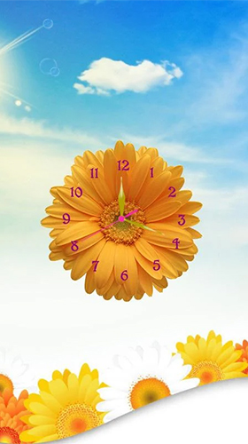 Ladda ner Sunflower clock - gratis live wallpaper för Android på skrivbordet.