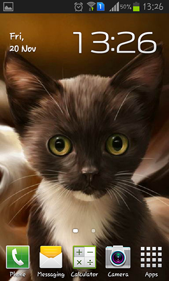 Gratis Djur live wallpaper för Android på surfplattan arbetsbordet: Surprised kitty.
