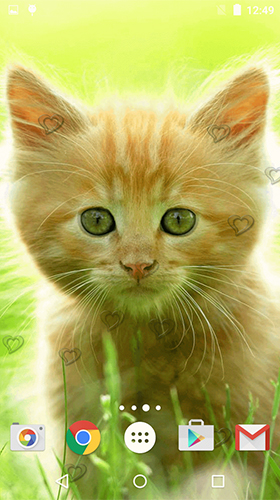 Ladda ner Сute kittens - gratis live wallpaper för Android på skrivbordet.