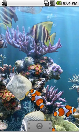 Gratis Interactive live wallpaper för Android på surfplattan arbetsbordet: The real aquarium.