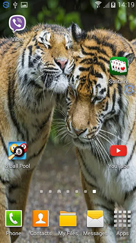 Gratis levande bakgrundsbilder Tigers: shake and change på Android-mobiler och surfplattor.