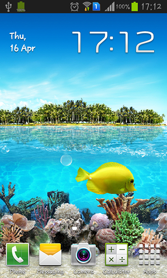 Tropical ocean - ladda ner levande bakgrundsbilder till Android 4.1.1 mobiler.