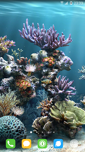 Ladda ner Underwater world by orchid - gratis live wallpaper för Android på skrivbordet.