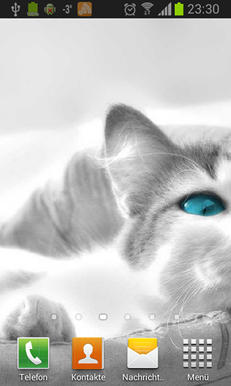 White cats - ladda ner levande bakgrundsbilder till Android 5.0 mobiler.