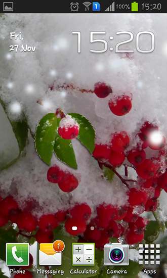 Winter berry - ladda ner levande bakgrundsbilder till Android 2.3.5 mobiler.