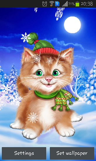 Winter cat - ladda ner levande bakgrundsbilder till Android 8.0 mobiler.