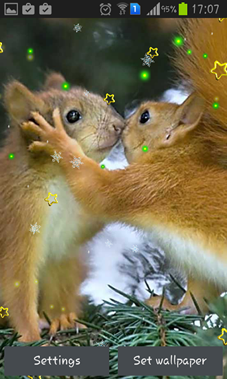 Winter squirrel - ladda ner levande bakgrundsbilder till Android 4.4.4 mobiler.