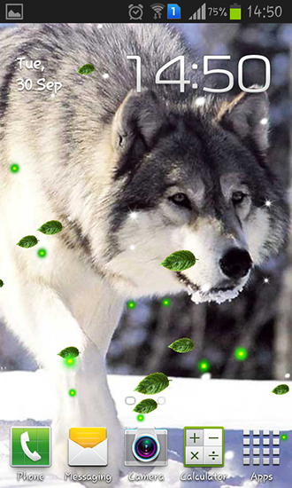 Wolves mistery - ladda ner levande bakgrundsbilder till Android 1 mobiler.