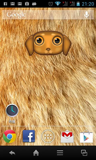 Gratis Djur live wallpaper för Android på surfplattan arbetsbordet: Zoo: Dog.
