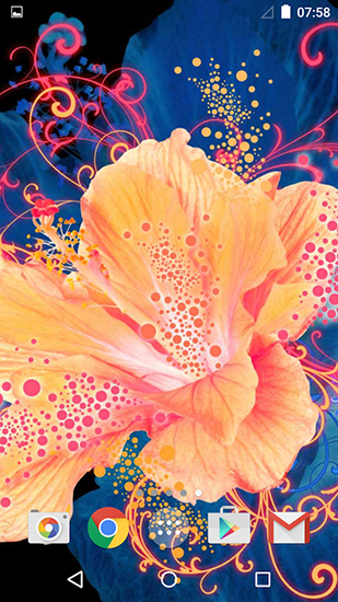 Ladda ner Abstract flower - gratis live wallpaper för Android på skrivbordet.