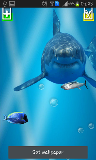 Ladda ner Angry shark: Cracked screen - gratis live wallpaper för Android på skrivbordet.