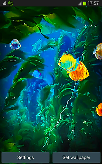 Ladda ner Aquarium 3D by Pups apps - gratis live wallpaper för Android på skrivbordet.