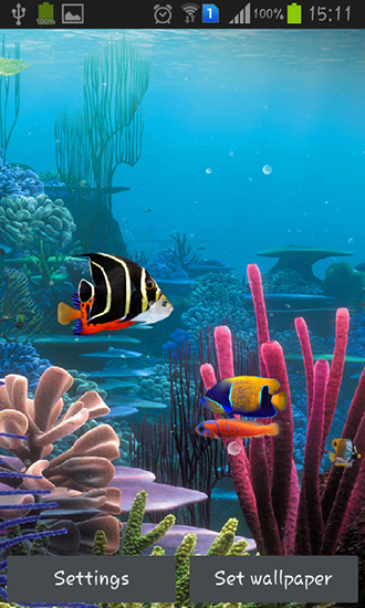 Ladda ner Aquarium by Cowboys - gratis live wallpaper för Android på skrivbordet.