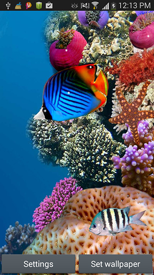 Ladda ner Aquarium by Seafoam - gratis live wallpaper för Android på skrivbordet.