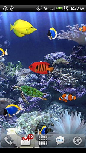 Ladda ner Aquarium - gratis live wallpaper för Android på skrivbordet.