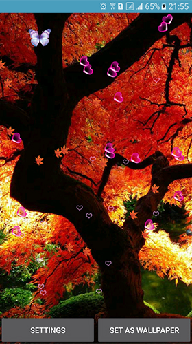 Autumn by 3D Top Live Wallpaper
