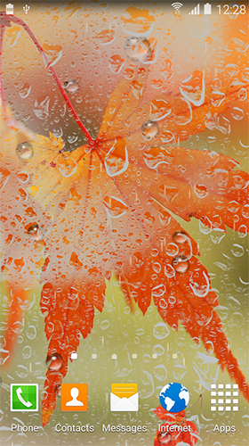 Autumn HD by BlackBird Wallpapers