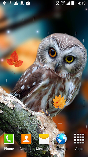 Ladda ner Autumn by Blackbird wallpapers - gratis live wallpaper för Android på skrivbordet.
