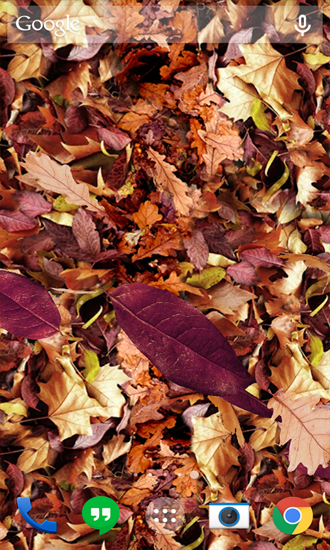 Ladda ner Autumn Leaves - gratis live wallpaper för Android på skrivbordet.