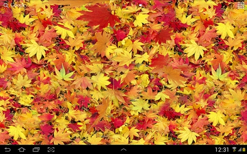 Ladda ner Autumn leaves 3D - gratis live wallpaper för Android på skrivbordet.