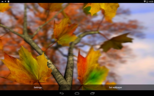 Ladda ner Autumn leaves 3D by Alexander Kettler - gratis live wallpaper för Android på skrivbordet.