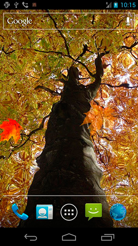 Ladda ner Autumn maple - gratis live wallpaper för Android på skrivbordet.