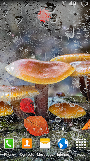 Ladda ner Autumn mushrooms - gratis live wallpaper för Android på skrivbordet.