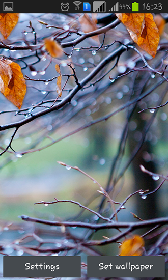 Ladda ner Autumn raindrops - gratis live wallpaper för Android på skrivbordet.