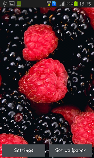 Ladda ner Berries - gratis live wallpaper för Android på skrivbordet.
