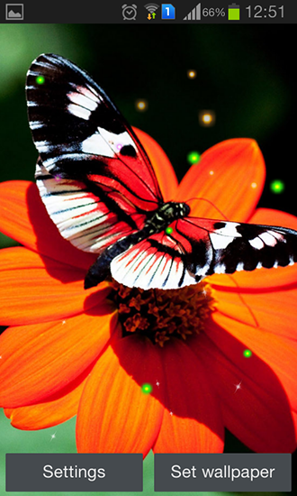 Ladda ner Best butterfly - gratis live wallpaper för Android på skrivbordet.