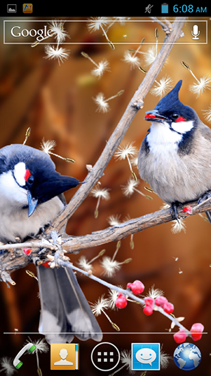 Ladda ner Birds 3D - gratis live wallpaper för Android på skrivbordet.