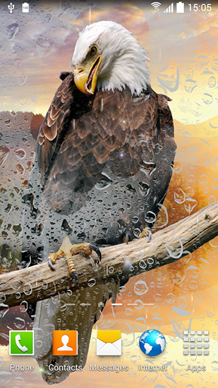 Ladda ner Birds by Blackbird wallpapers - gratis live wallpaper för Android på skrivbordet.