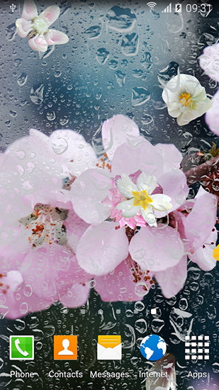 Ladda ner Blooming trees - gratis live wallpaper för Android på skrivbordet.