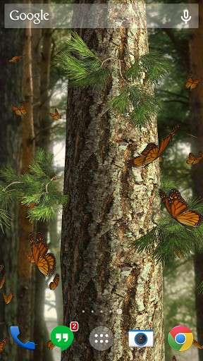 Ladda ner Butterflies 3D - gratis live wallpaper för Android på skrivbordet.