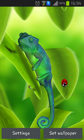 Ladda ner Chameleon 3D - gratis live wallpaper för Android på skrivbordet.