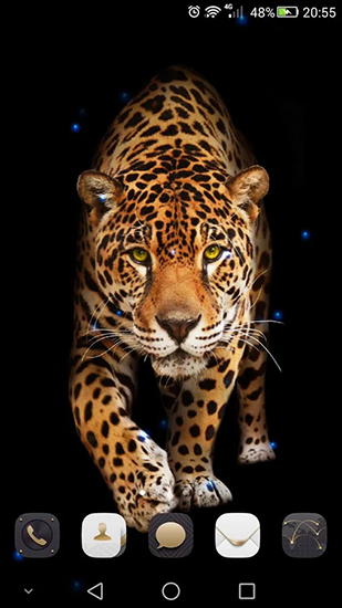 Ladda ner Cheetah - gratis live wallpaper för Android på skrivbordet.