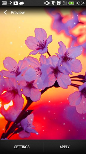 Ladda ner Cherry blossom - gratis live wallpaper för Android på skrivbordet.