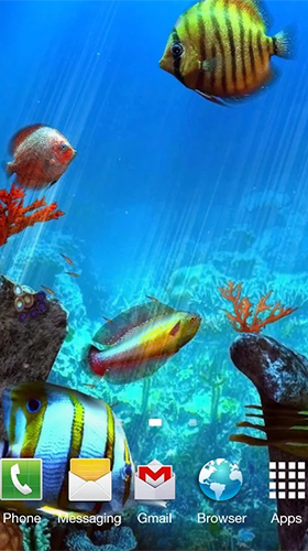 Clownfish aquarium 3D