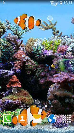 Ladda ner Coral fish 3D - gratis live wallpaper för Android på skrivbordet.