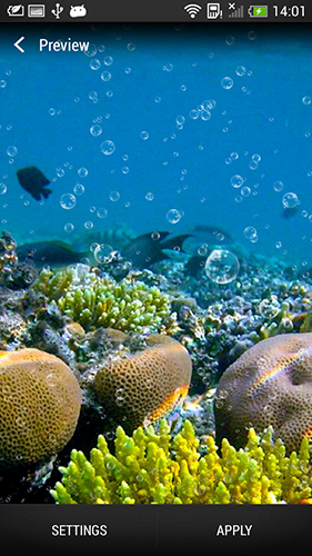 Ladda ner Coral reef - gratis live wallpaper för Android på skrivbordet.