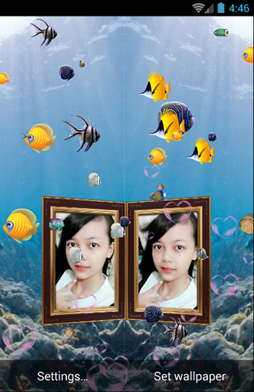 Ladda ner Couple photo aquarium - gratis live wallpaper för Android på skrivbordet.