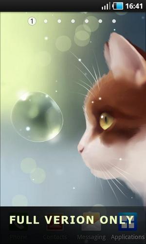 Ladda ner Curious cat - gratis live wallpaper för Android på skrivbordet.
