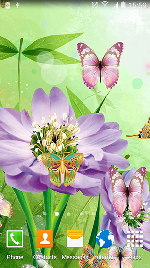 Ladda ner Cute butterfly - gratis live wallpaper för Android på skrivbordet.